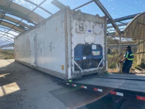 Used 40ft Refrigerated Shipping Container – With Custom Side Door Access